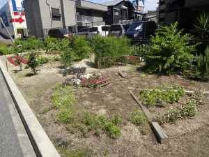 堤インターグリーンライフ倶楽部の花壇の写真2