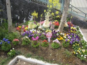 中公園ガーデンクラブの花壇の写真3