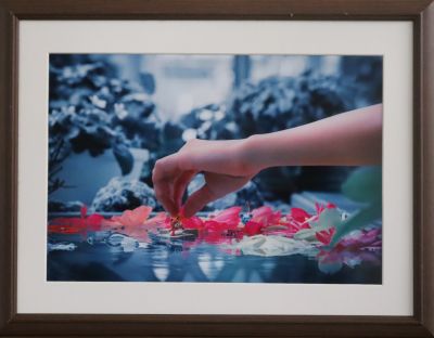 第41回城南区市民アート展写真部門の特選作品画像