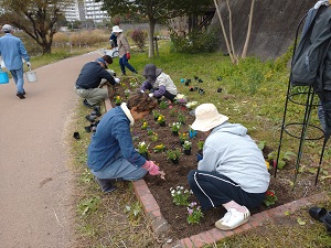 西の堤池花壇1