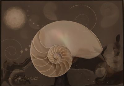 第41回城南区市民アート展グラフィックデザイン部門最優秀賞の作品画像