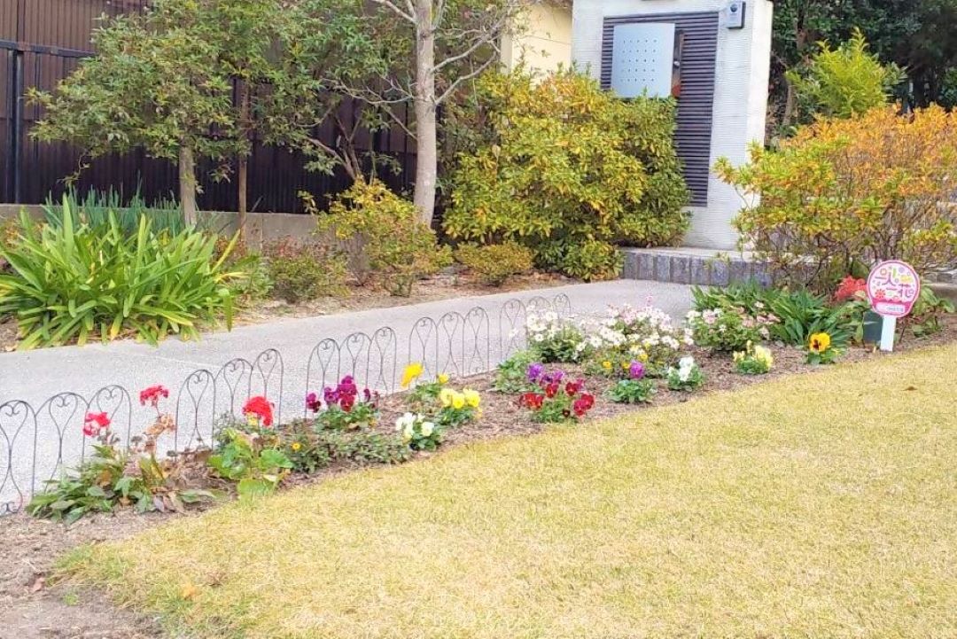 ここ・ゆゆ花壇３