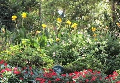 エコガーデンと愉快な仲間たち花壇カンナの花