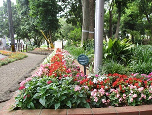 エコガーデンと愉快な仲間たちの花壇1