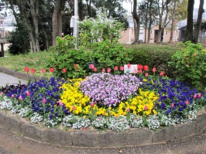 エコガーデンと愉快な仲間たちの花壇2