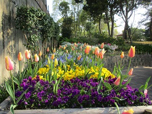 エコガーデンと愉快な仲間たちの花壇3