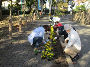 梅林緑地花植え作業1