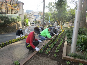 梅林緑地花植え作業2