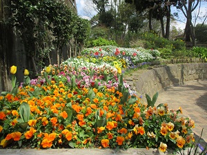 函館の夜景花壇