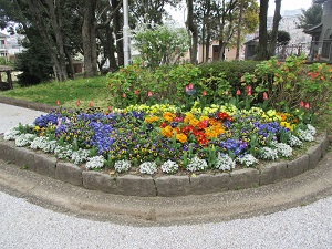 幸せのロータリー花壇
