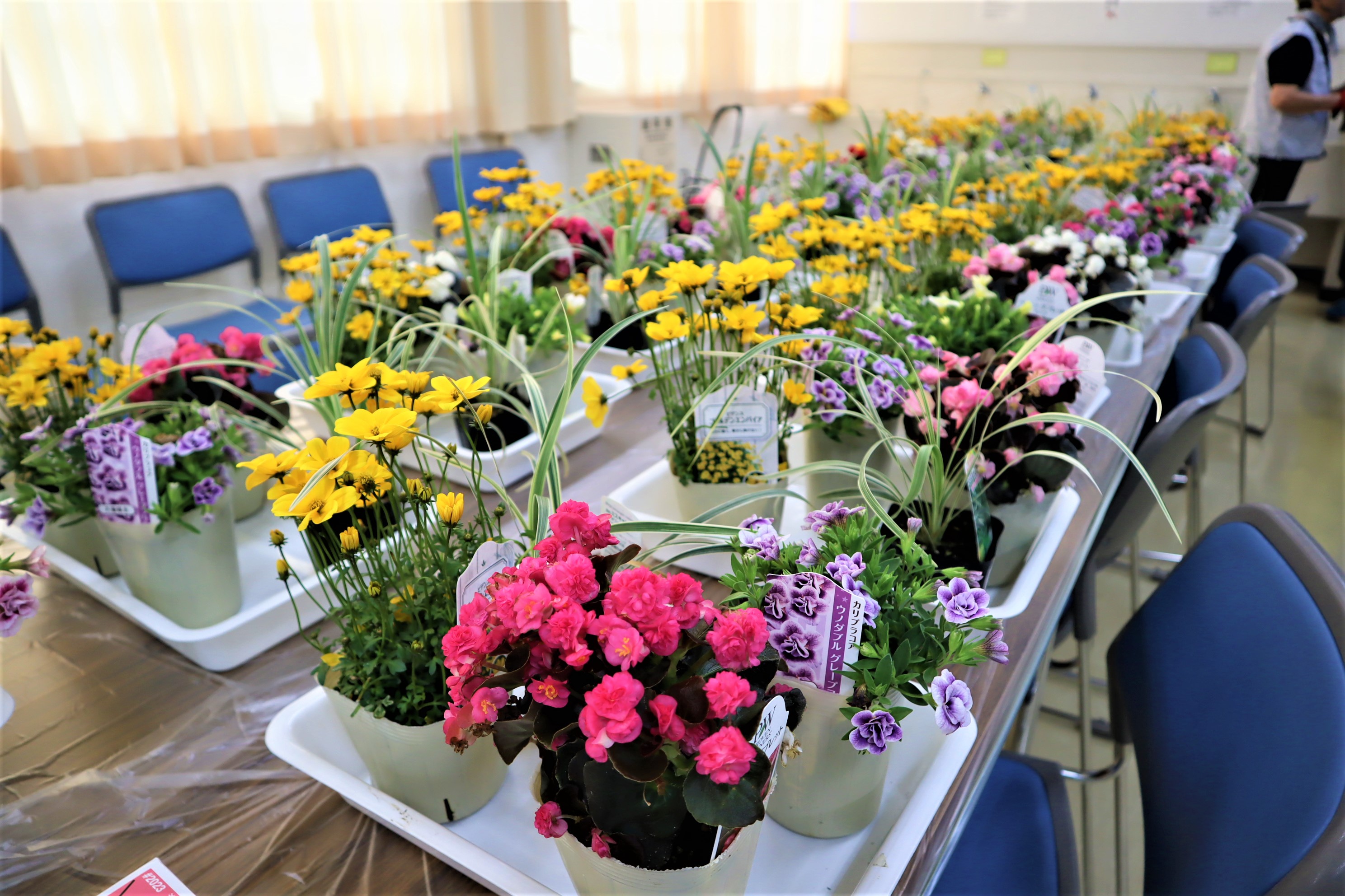 城南区一人一花園芸ボランティア講座