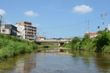 樋井川