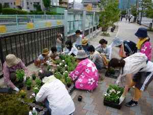 花みずき通り商店会の活動場面の写真2