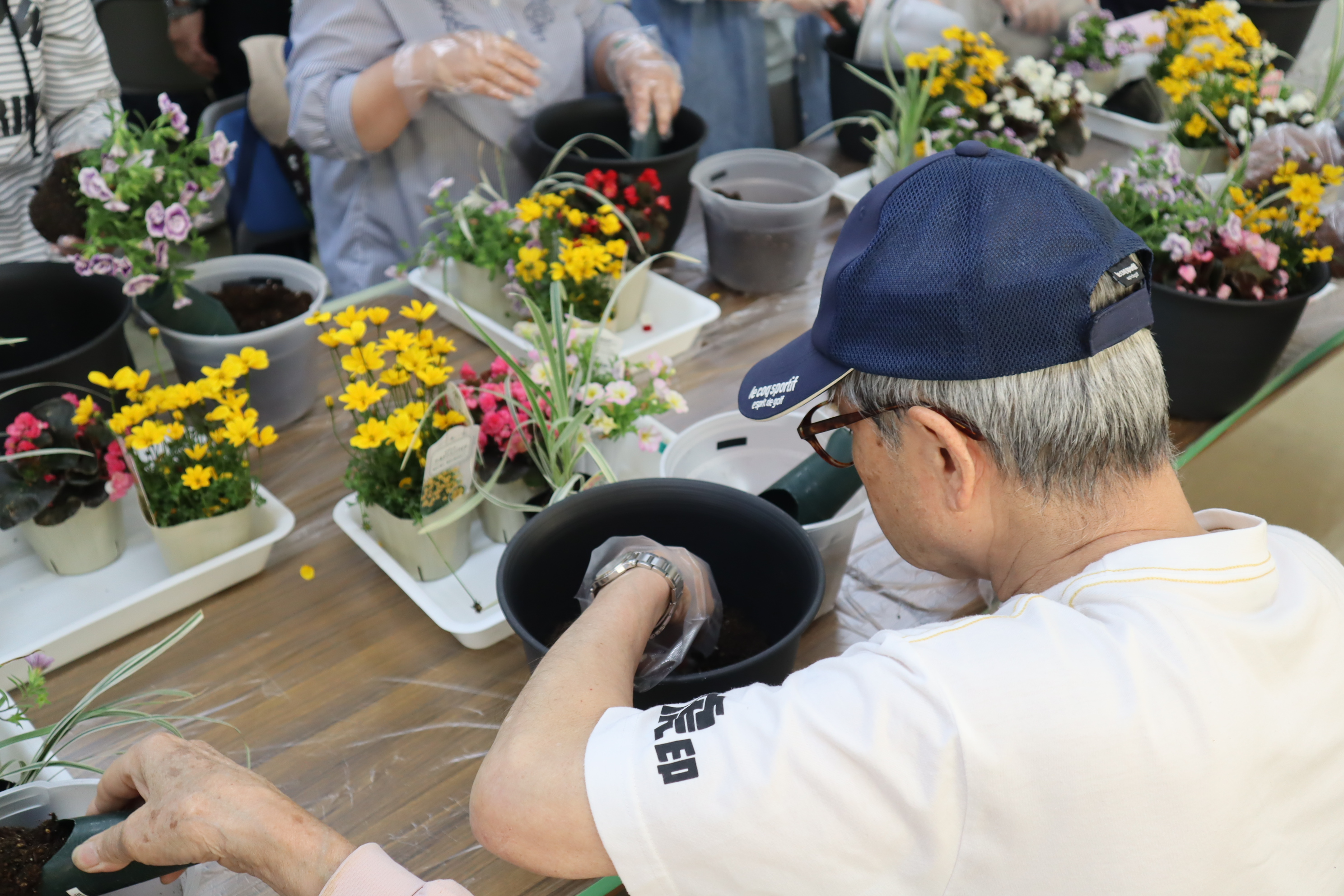 城南区一人一花園芸ボランティア講座