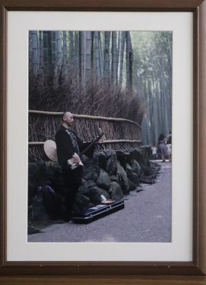 第41回城南区市民アート展写真部門の特選作品画像