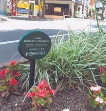 フラワーラブメイツの花壇の写真3