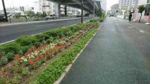 梅林ガーデンクラブの花壇の写真2