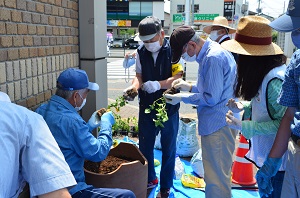 茶山駅の花の植え替え2