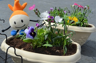 中村学園大学ハンギングポット