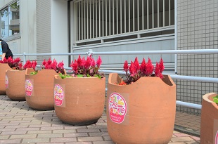 別府駅駐輪場前のフラワーポット
