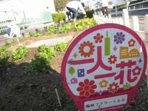 梅林フラワーくらぶの花壇の写真1