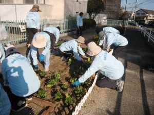 梅林フラワーくらぶの活動場面の写真2