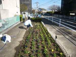 梅林フラワーくらぶの活動場面の写真3