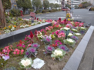 城南市民センター花壇2