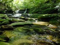油山の夏の風景