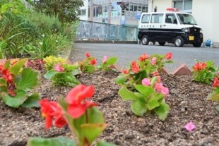 別府交番南側花壇