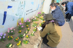 画像：別府小学校の東側花壇3