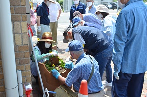 茶山駅の花の植え替え4
