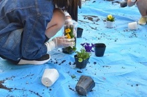 ペットボトルハンキングを作る児童