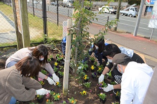 別府西公園花壇の作業