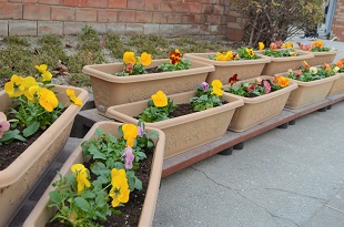 画像：別府小学校正門・校舎入口5