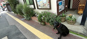 株式会社PアンドOコミュニケーションスタジオ花壇２