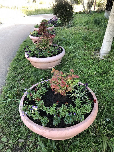 西の堤池プランター