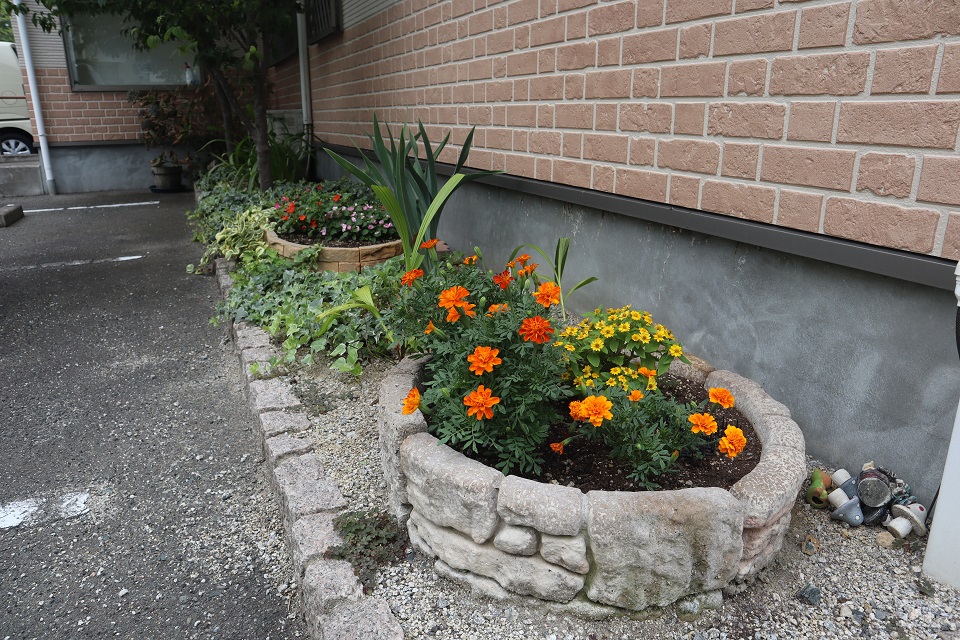 「めおといわ」みんなの花壇の写真２