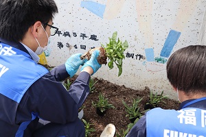 別府小学校南門前花壇の花植え2