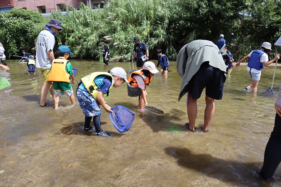 生き物を探す様子