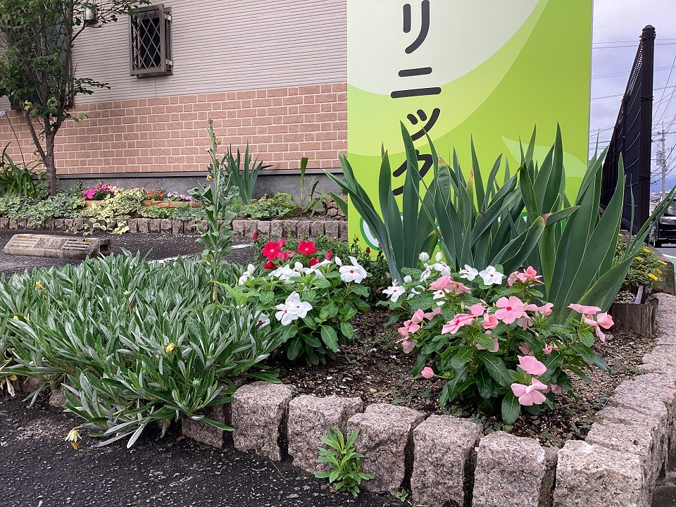 「めおといわ」みんなの花壇の写真１