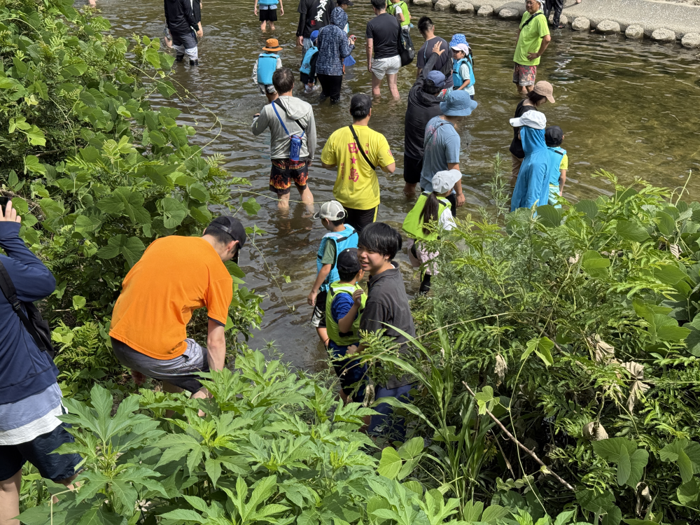 樋井川体験学習４