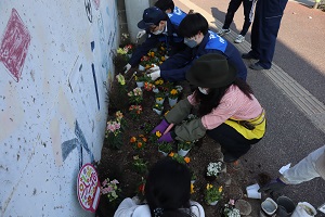 別府小学校の花植え4