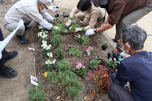 下長尾中央公園で花植えをしている様子