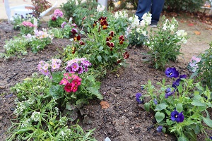 下長尾中央公園花壇