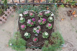 下長尾中央公園ハート型花壇