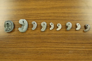 参加者で作成した勾玉