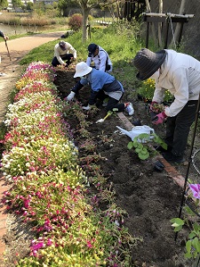 西の堤池の花壇3