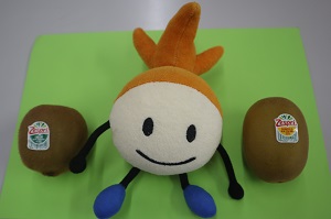 お土産のキウイフルーツとニッコりん