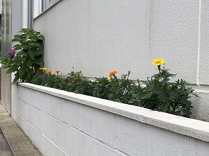 株式会社カクマル花壇2